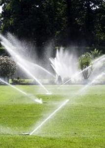 sprinkler water coverage